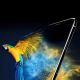 BİNANO Extreme Vivo Y11S Nano Ekran Koruyucu BİNANO Extreme Vivo Y11S Nano Ekran Koruyucu